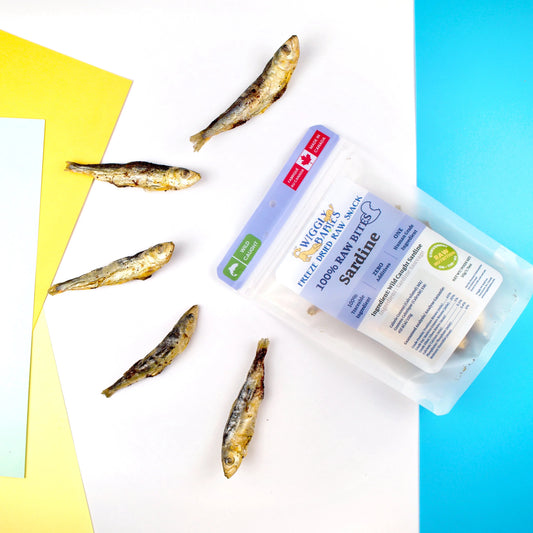 wild caught sardine freeze dried raw | wiggly babies