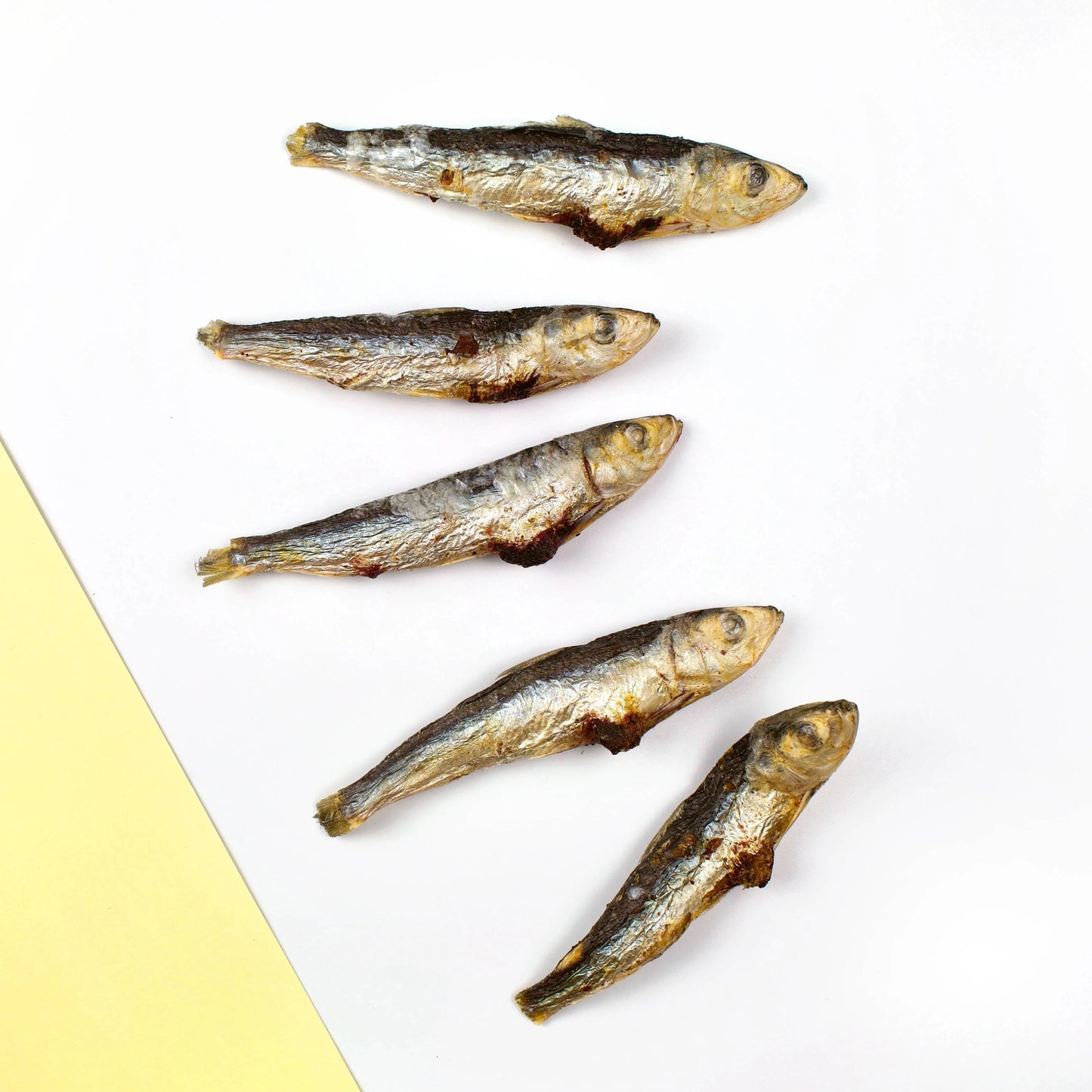 wild caught sardine freeze dried raw | wiggly babies