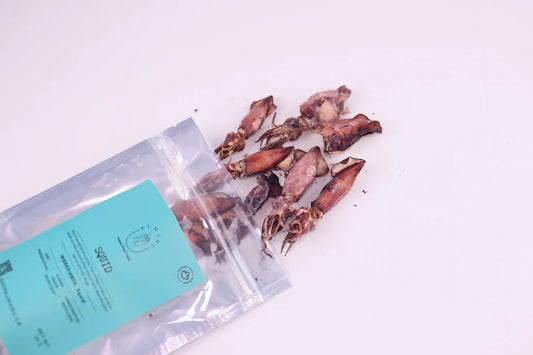 freeze dried squid | kumaru