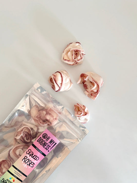 squid roses | oh my dogness