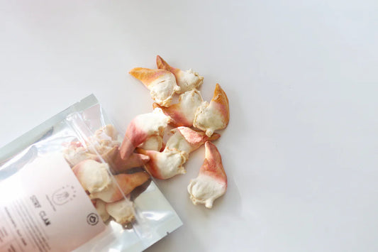 freeze dried surf clams| kumaru