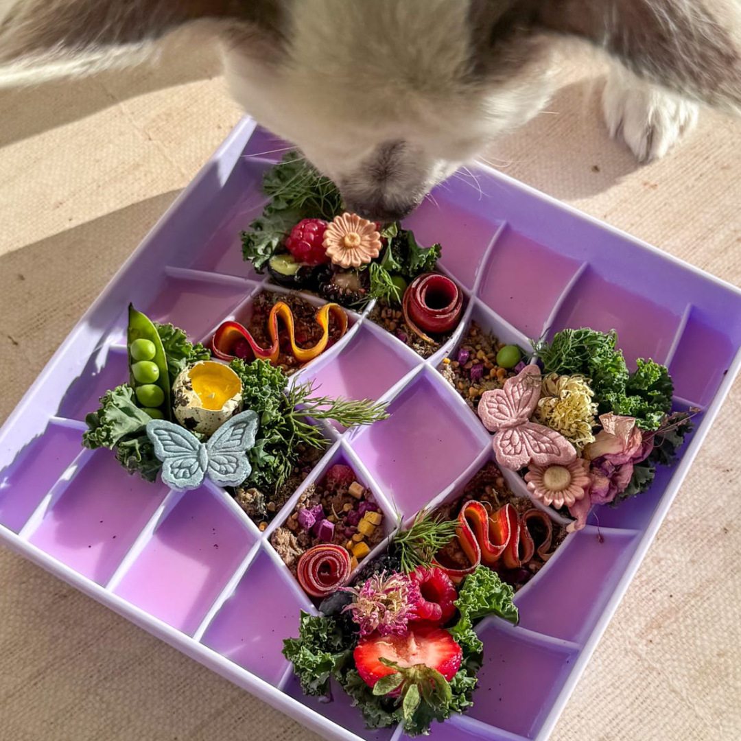 wavies slow feeder bowl | viola