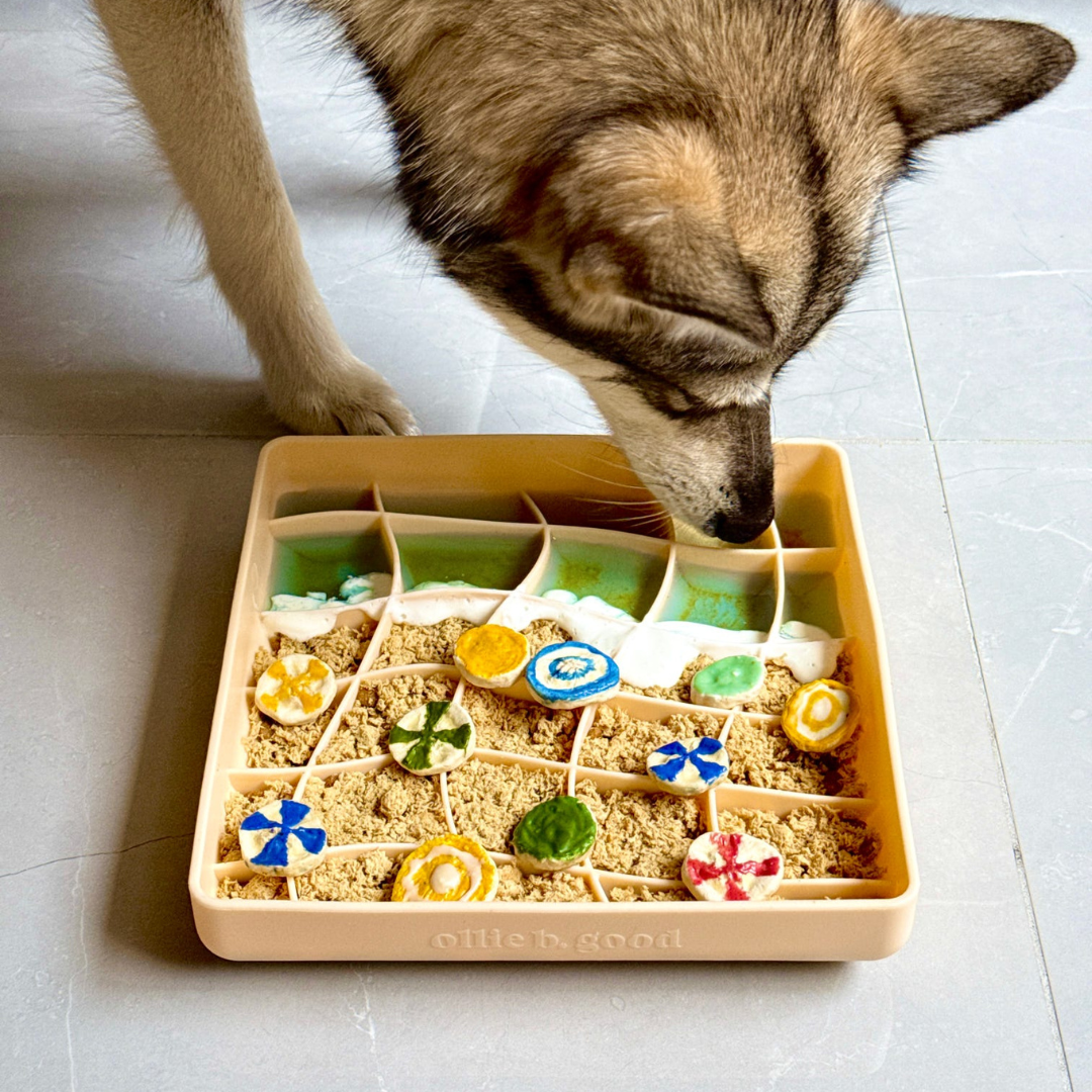 wavies slow feeder bowl | clementine