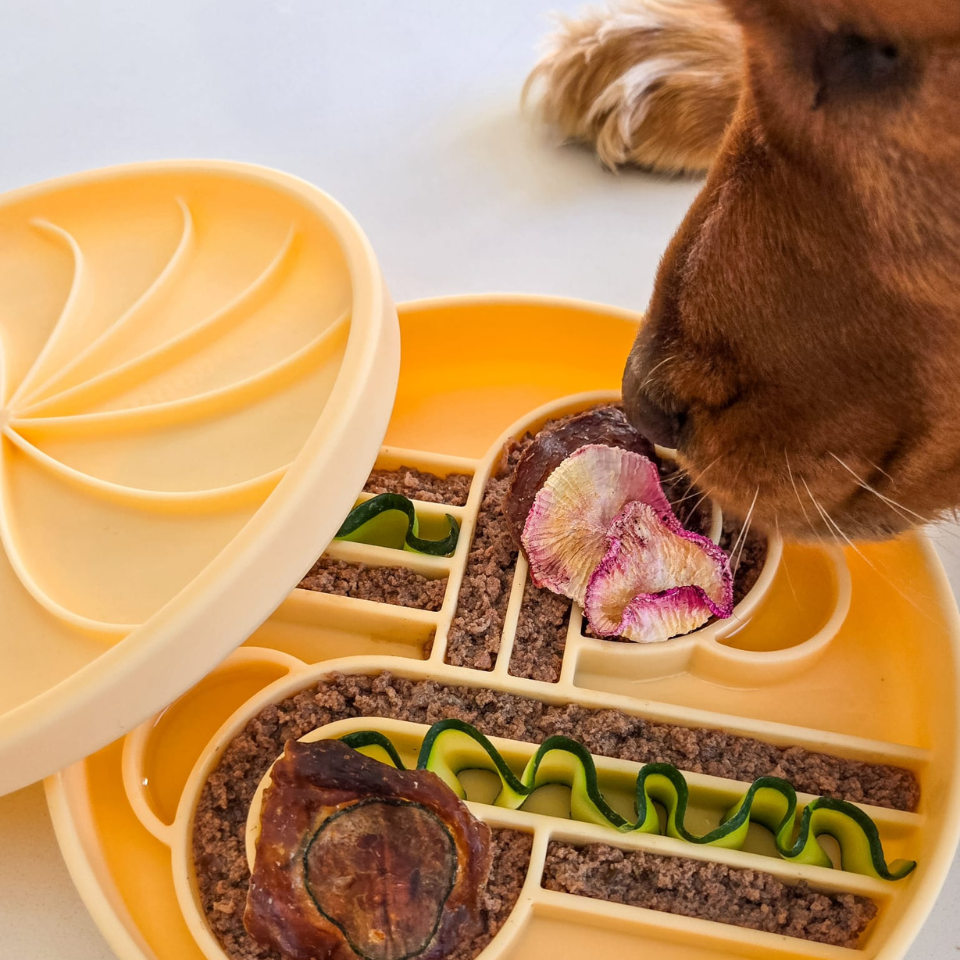 wheelies lick mat & lid | clementine