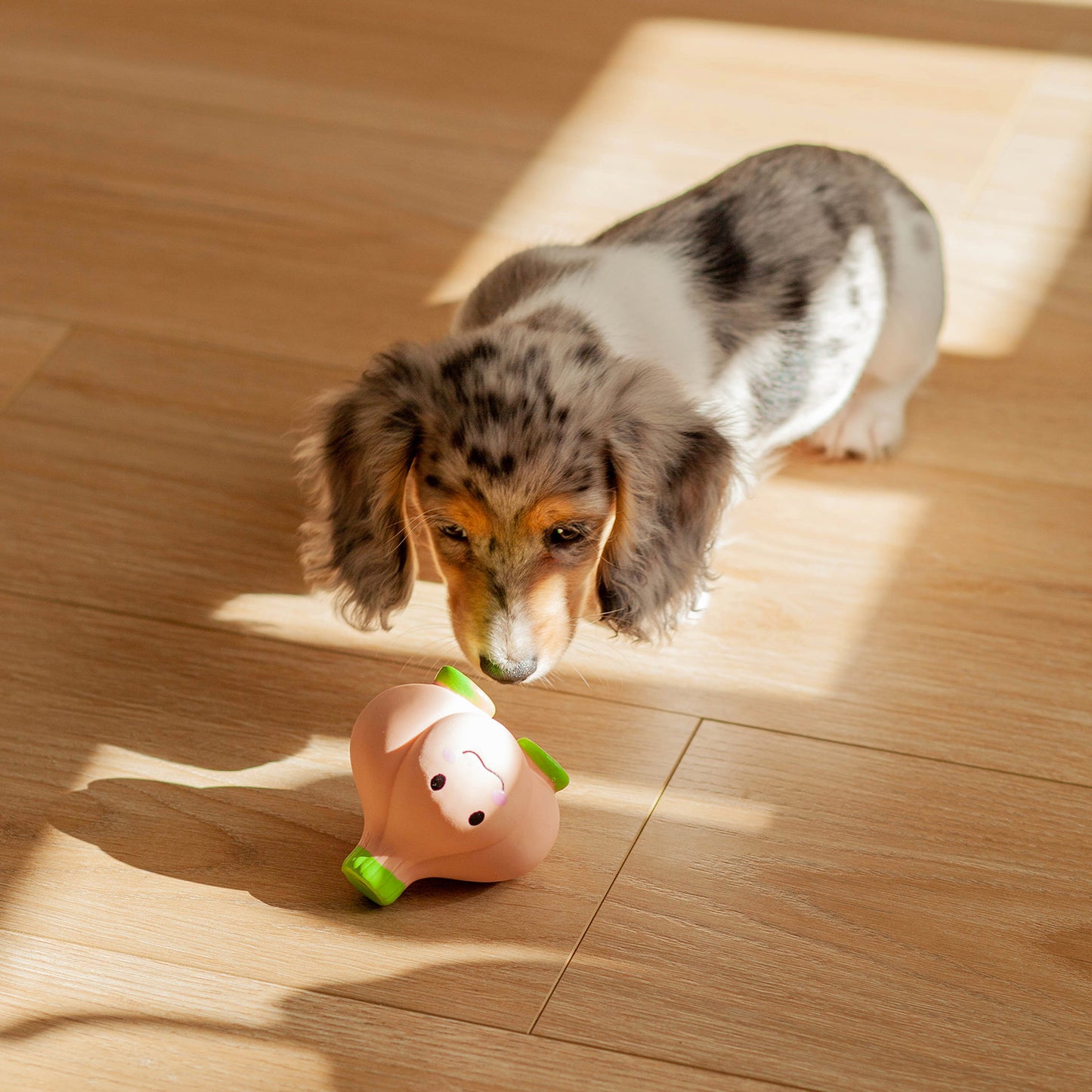 aromatics squeaker toy | garlic