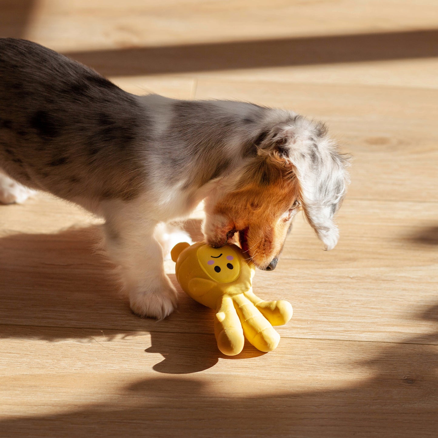 aromatics squeaker toy | ginger