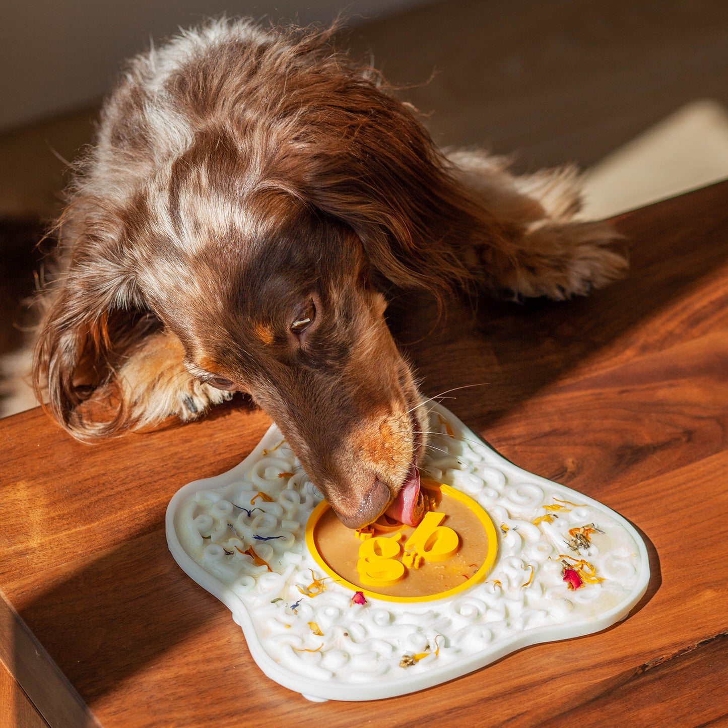 sunny side up egg lick mat