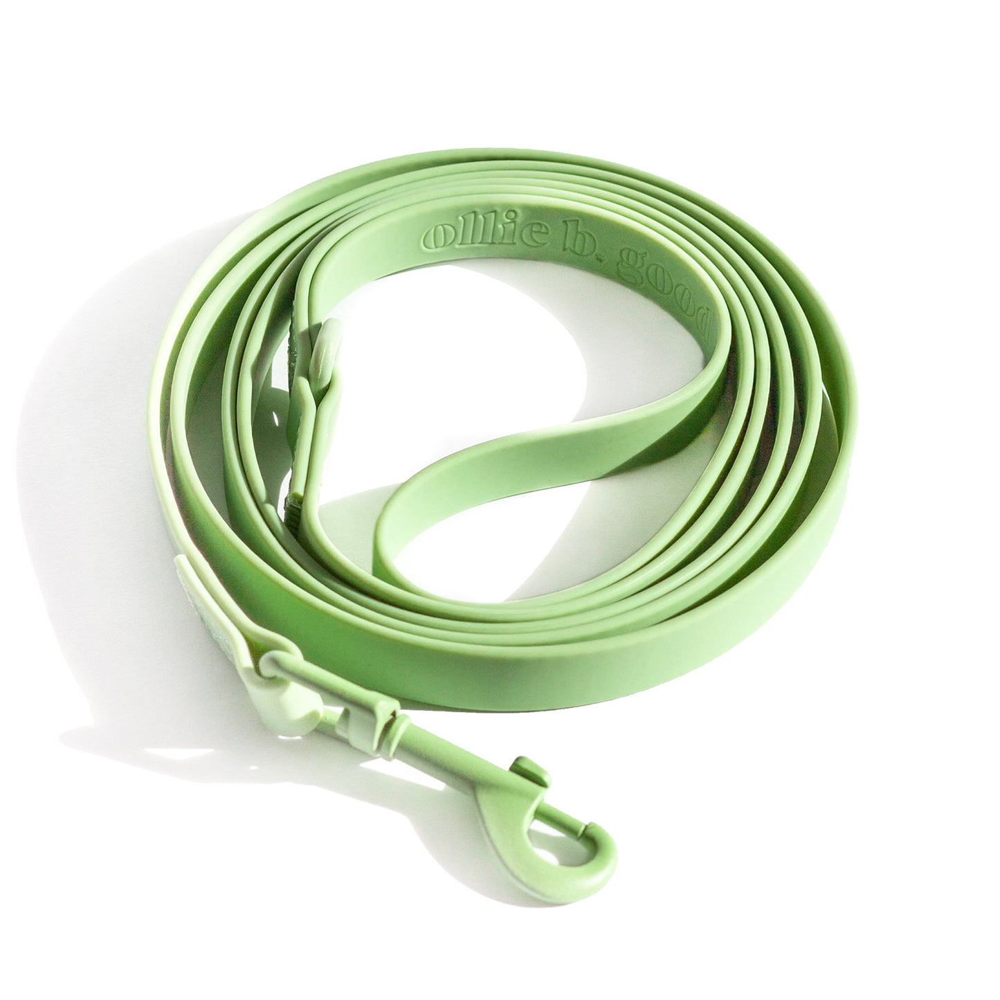 raincouv waterproof leash | honeydew