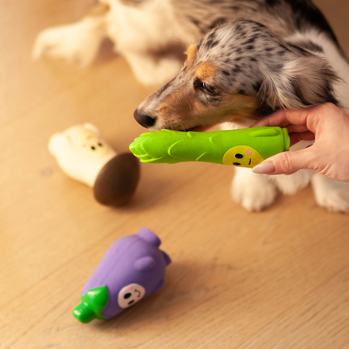 veggie squeaker squad | mushroom + asparagus + eggplant